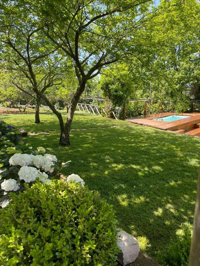Villa Spartano Sant'Agata Sui Due Golfi Massalubrense Масса-Лубренсе Экстерьер фото